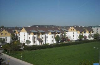 Wohnung mieten in Tegetthoffstraße 62, 4840 Vöcklabruck, Objekt 679: 2-Zimmerwohnung in Vöcklabruck, Tegetthoffstraße 62, Top 7 (inkl. TG Nr.20)