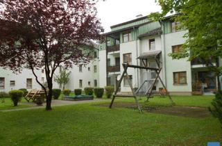 Wohnung mieten in Waldpoint 10, 4850 Timelkam, Objekt 768: 3-Zimmerwohnung in Timelkam, Waldpoint 10, Top 28