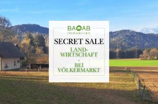 Gewerbeimmobilie kaufen in 9111 Haimburg, Idyllisches Landanwesen mit Wald & Stallungen in ruhiger Einzellage
