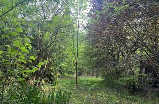 Grundstück zu kaufen in Oskar-Künzel-Gasse 14, 3021 Pressbaum, 700 m² sonniger Baugrund in Pressbaum – Wienerwald, 10 Min Bahnhof, provisionsfrei