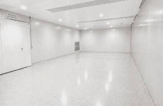 Lager mieten in Großmarktstraße 8a, 8020 Graz, 120 m² Lagerfläche mit Tor & Zufahrt - sofort verfügbar, sauber und trocken