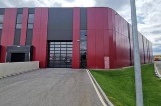 Büro zu mieten in 2100 Korneuburg, PRODUKTIONS- UND HALLENFLÄCHEN IN HOCHMODERNEM BUSINESSPARK SAMT DIREKTEM BAHNANSCHLUSS MITTEN IN DER STADT