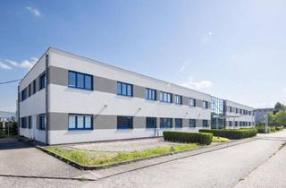 Büro zu mieten in Tcg Unitech, Greiner Bio-One, Uvm., 4550 Kremsmünster, Ob Groß - ob Klein, Büros Direkt an der b122