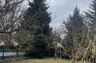 Einfamilienhaus kaufen in 4061 Pasching, Solides Einfamilienhaus mit Keller im Herzen von Langholzfeld!