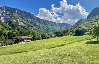 Grundstück zu kaufen in 9163 Unterbergen, Sonniges Baugrundstück Für Naturliebhaber