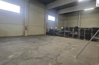 Lager mieten in 3500 Krems an der Donau, 150M2 Lagerfläche in Großer Lagerhalle mit Direkter Lkw Einfahrt_An der Schütt, 3500 Krems an der Donau (Unbefristeter Mietvertrag)