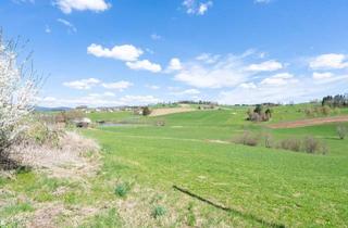 Grundstück zu kaufen in 4155 Heinrichsberg, Landwirtschaftlicher Nutzgrund in Heinrichsberg zu Kaufen