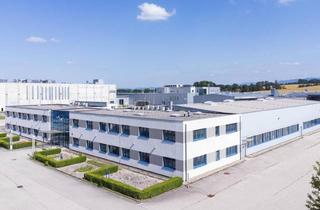 Lager mieten in Tcg Unitech, Greiner Bio-One, 4550 Kremsmünster, Optimal und Flexibel auf Ihren Bedarf Anpassbar