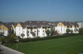 Wohnung mieten in Tegetthoffstraße 62/7, 4840 Vöcklabruck, Objekt 679: 2-Zimmerwohnung in Vöcklabruck, Tegetthoffstraße 62, Top 7 (Inkl. Tg Nr.20)