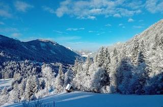 Haus kaufen in 8786 Oppenberg, Rückzugsort mit Mehrwert: Charmantes Eigenheim mit Wellness-Oase, Remise und Exklusivem Trainingsbereich Für Sportschützen