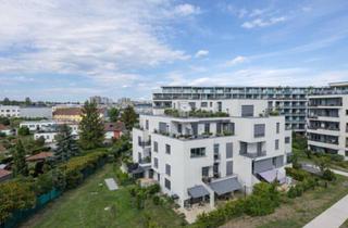 Penthouse kaufen in 1120 Wien, Dg-Penthouse mit 69 m² Rundumterrasse - 3 Zi., 2017, Tg-Platz | 1120 Wien