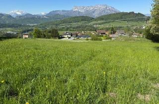 Grundstück zu kaufen in 5421 Adnet, Traum-Grundstück mit herrlichem Fernblick l Adnet