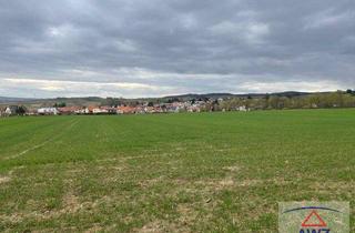 Grundstück zu kaufen in 2020 Hollabrunn, Top Investion: eventuell mögliches Bauhoffnungsland nahe dem Stadtzentrum von Hollabrunn!