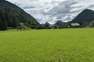 Grundstück zu kaufen in Bauernstraße, 4645 Grünau im Almtal, Sonniges Grundstück in Top-Lage - Bauernstraße