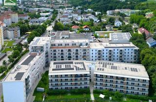 Wohnung mieten in Doktor-Wilhelm-Steingötter-Straße 25, 3100 Sankt Pölten, Traumhafter Erstbezug in Hofruhelage inklusive Einbauküche!
