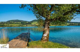 Haus kaufen in 4894 Oberhofen am Irrsee, neuer Kaufpreis: moderne Mobilheime direkt am See zu verkaufen, keine Käuferprovision!