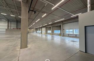 Büro zu mieten in 4470 Enns, NEUBAU - Produktions / Lagerhalle mit Büroflächen in Enns/Ennshafen zu vermieten – individuell und zukunftsorientiert