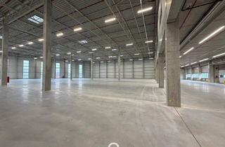 Büro zu mieten in 4470 Enns, NEUBAU - Produktions / Lagerhalle mit Büroflächen in Enns/Ennshafen zu vermieten – individuell und zukunftsorientiert
