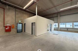 Büro zu mieten in 4470 Enns, NEUBAU - Produktions / Lagerhalle mit Büroflächen in Enns/Ennshafen zu vermieten – individuell und zukunftsorientiert