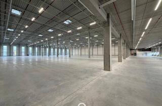 Büro zu mieten in 4470 Enns, NEUBAU - Produktions / Lagerhalle mit Büroflächen in Enns/Ennshafen zu vermieten – individuell und zukunftsorientiert