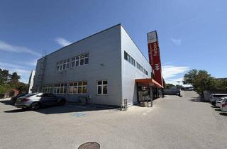 Geschäftslokal mieten in 2700 Wiener Neustadt, BÜRO mit Lagerfläche / Ausstellungsraum, Behindertengerecht mit Behindertenparkplatz