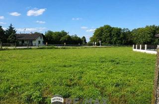 Grundstück zu kaufen in 3435 Pischelsdorf, "761 m² traumhafter Eigengrund Nähe Tulln an der Donau"