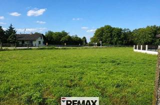 Grundstück zu kaufen in 3435 Pischelsdorf, "761 m² traumhafter Eigengrund Nähe Tulln an der Donau"