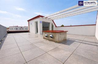 Penthouse kaufen in Doktor Karl Renner-Platz, 2514 Traiskirchen, *Frühjahrsaktion* Penthouse-Feeling pur: Moderne Neubauwohnung mit großzügiger Wohnfläche, Balkon und beeindruckender Dachterrasse!