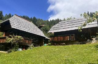 Almhütte zu kaufen in 9335 Hinterberg, Historischer Kärntner "Troadkasten" mit "Keuschn" in idyllischer Lage