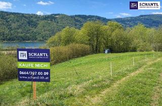Grundstück zu kaufen in 3370 Ybbs an der Donau, Katzensprung von Ybbs/D. – Mehr Grundstück für wenig Geld! Seltenes Baugrundstück mit genialem Donau-Blick in ruhiger Lage: 2.168 m² für großzügiges Eigenheim, Mehrgenerationenwohnen oder Wohnen & Arbeiten auf einem Grundstück!