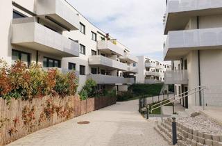 Wohnung mieten in Vöslauer Straße, 2500 Baden, Neuwertige Wohnung mit Terrasse + Tiefgaragenplatz!