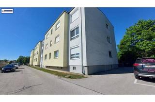 Wohnung kaufen in 2486 Pottendorf, kleine, schöne, helle, günstige Mietwohnung in Pottendorf