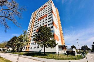 Wohnung kaufen in 2700 Wiener Neustadt, Gepflegte 3-Zimmer Wohnung im beliebten Zehnerviertel – Fernblick im 5. Stock | Sofort beziehbar