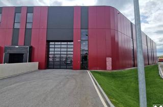 Büro zu mieten in 2100 Korneuburg, Produktions- und Hallenflächen in Hochmodernem Businesspark Samt Direktem Bahnanschluss Mitten in der Stadt