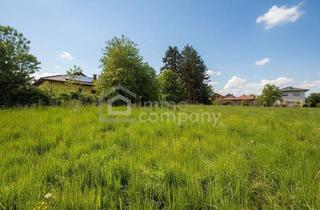 Grundstück zu kaufen in 2753 Dreistetten, Sonniger Baugrund - Viel Platz Für ihr Traumhaus!