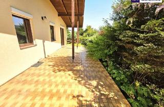 Einfamilienhaus kaufen in Schöffelstraße, 3001 Mauerbach, Ein Haus wie ein Sonntag - Sonnig, ruhig und voller Möglichkeiten! Tolle Ruhelage mit Süd-West Ausrichtung + 6 Zimmer + Großer Keller + Terrasse + Garage!