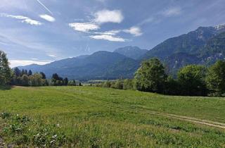 Grundstück zu kaufen in 9772 Dellach, Sonniges Baugrundstück in Dellach im Drautal, Kärnten – Ihr Traum vom Eigenheim!