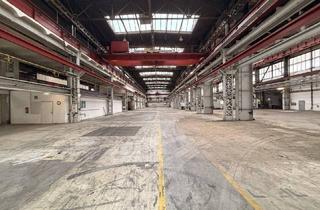 Büro zu mieten in 3100 Sankt Pölten, Industrie-Halle in St. Pölten I 591,61m² - 1947,71m² I Büroräume I Zentraler Lage I nähe Bahnhof und Autobahn
