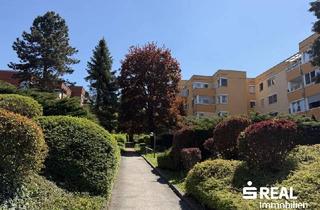 Wohnung kaufen in 4470 Enns, Eigentumswohnung in ruhiger Parklage