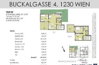 Wohnung mieten in Buckalgasse 4/9, 1230 Wien, 3 Zimmerwohnung mit 2 Terrassen und kleinem Eigengarten - Neubau