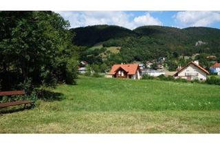 Grundstück zu kaufen in Klammweg, 2732 Willendorf, *PROVISIONSFREI in TRAUMLAGE* Großzügiges Baugrundstück mit Blick auf die Hohe Wand