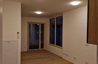 Wohnung mieten in Lieberstraße 2.., 6020 Innsbruck, ZENTRUM INNSBRUCK – exklusive, klimatisierte Neubau-Garconniere mit Loggia, Kellerabteil & traumhaftem Bergblick