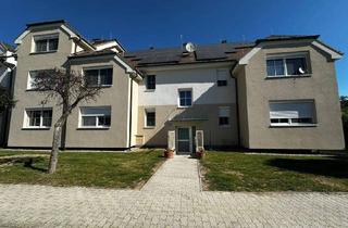 Wohnung kaufen in Pirawartherstraße, 2222 Kollnbrunn, Wohnkomfort im Grünen – 3 Zimmer Eigentumswohnung in 2222 Kollnbrunn