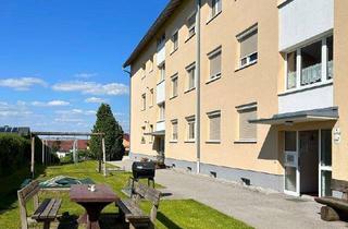 Wohnung mieten in Friedmannstraße, 4491 Niederneukirchen, PREISWERT UND GEMÜTLICH - 2 ZIMMER WOHNUNG IN NIEDERNEUKIRCHEN