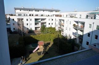 Wohnung mieten in Zehnergasse 20a, 2700 Wiener Neustadt, gemütliche 2-Zimmer-Wohnung mit Küche zu vermieten