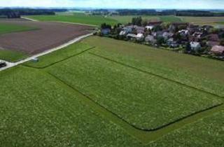 Grundstück zu kaufen in 4522 Sierning, WEITBLICK Sierning – 705 m² Baugrund mit Aussicht, provisionsfrei