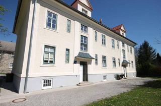 Wohnung mieten in Koloniestraße, 2602 Blumau-Neurißhof, HELLE - 2-ZIMMERWOHNUNG IN RUHIGER LAGE