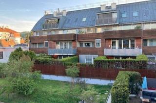 Wohnung mieten in 3400 Klosterneuburg, Schöne renovierte Wohnung in Klosterneuburg mit großzügigem Balkon