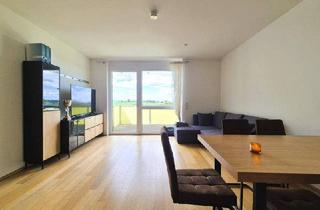 Wohnung mieten in Bergweg 13, 3350 Haag, Stadt Haag Zentrum! Sonnige 2-Zimmer-Wohnung mit Balkon und herrlicher Fernsicht, 51 m² WNFL, Küche möbliert, Carport!