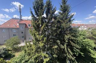 Wohnung mieten in Tullner Bahnstraße, 3100 Sankt Pölten, Einzimmerwohnung in ruhiger Seitengasse nähe Traisen